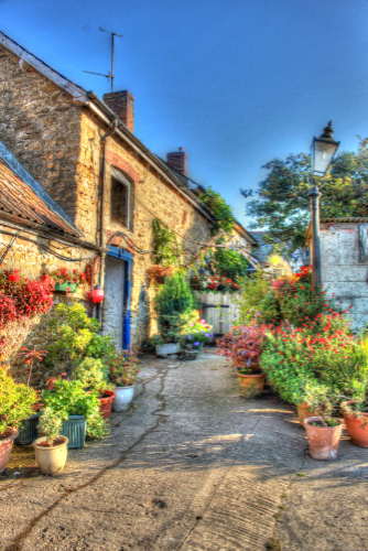 Colourful Dorset Farmhouse 