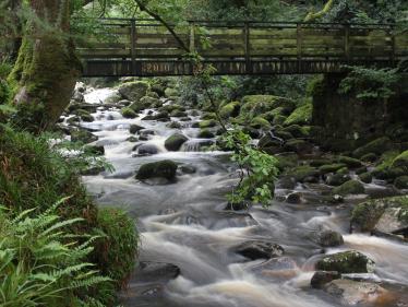 River Dart on Dartmoor 