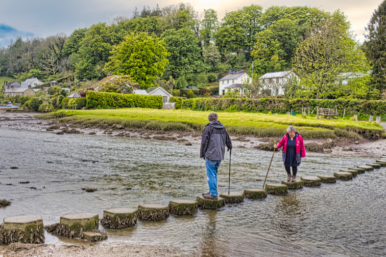 Stepping stones at Lerryn 