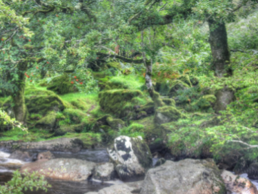 Moody Dartmoor scenery 