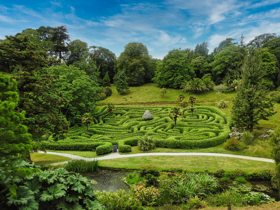 Maze at Glendurgan Gardens 
